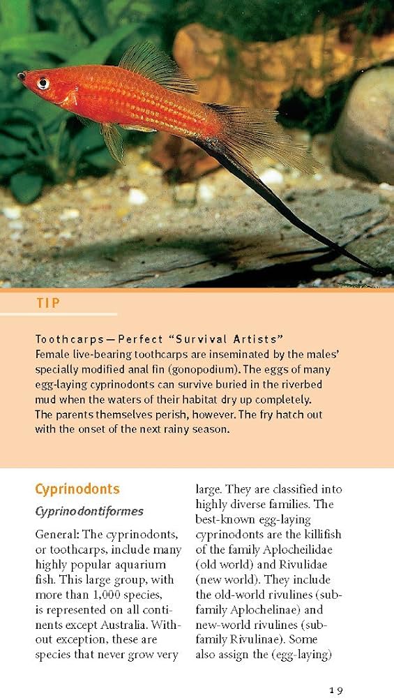 洋書　Freshwater Aquarium Fishes 淡水魚　大型本 洋書Freshwater Aquarium Fishes 淡水魚大型本